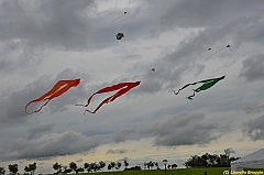 Venice kite festival_0332